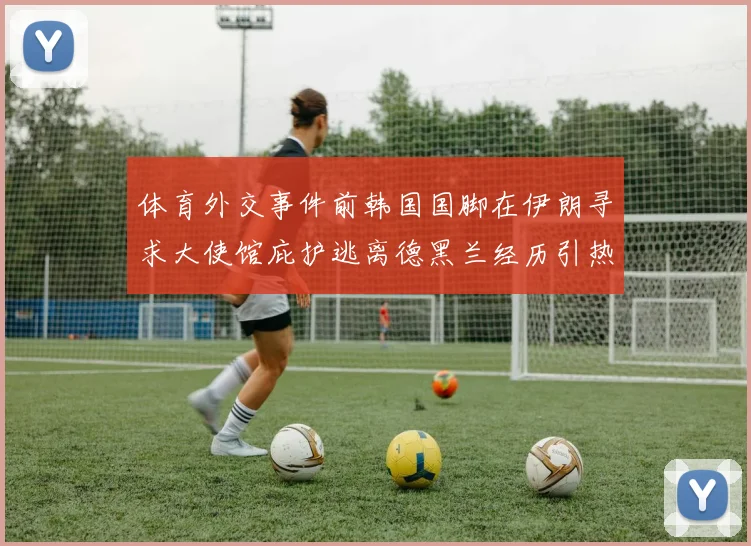 体育外交事件前韩国国脚在伊朗寻求大使馆庇护逃离德黑兰经历引热议