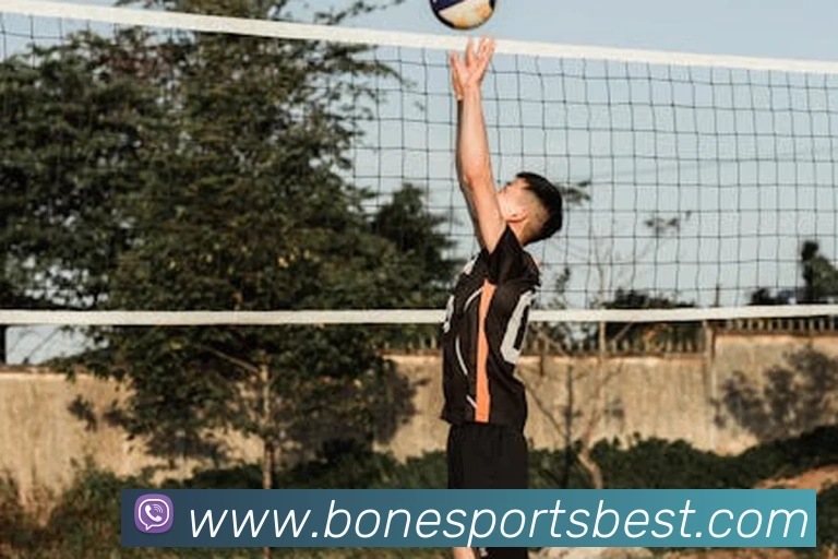 App Interface Preview